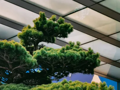 ArcaneBet Casino Aip Soghluaiste